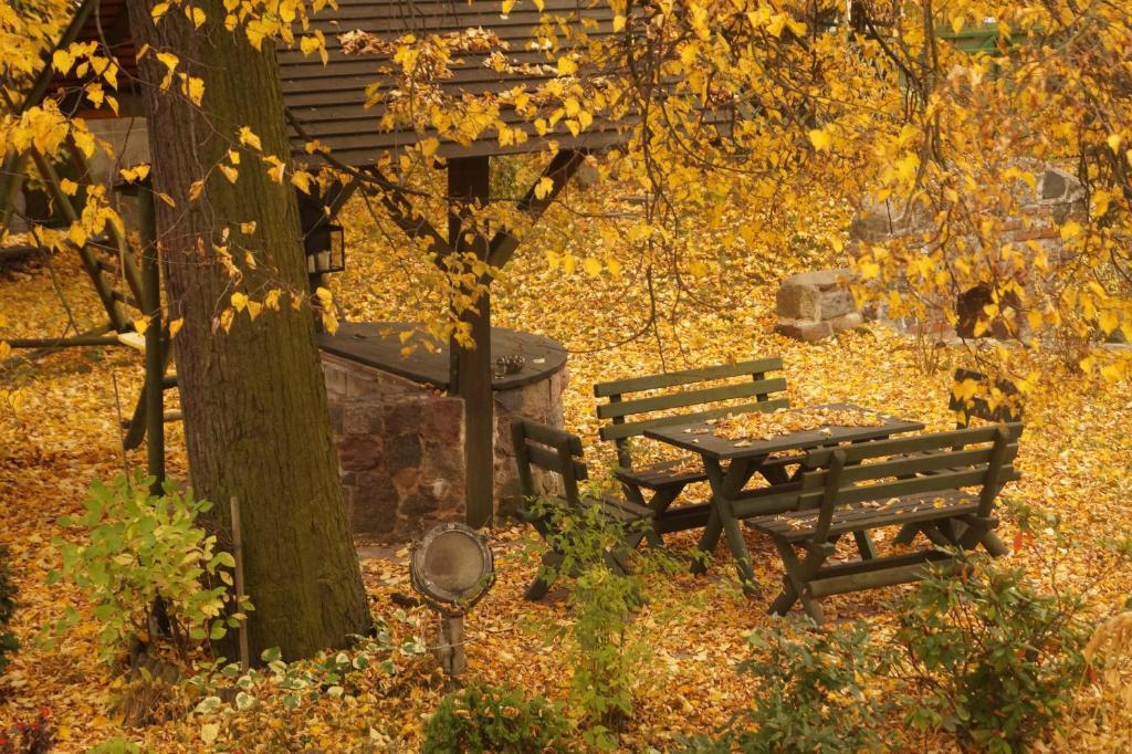 Mlynarzowy Dworek Gdyně Exteriér fotografie