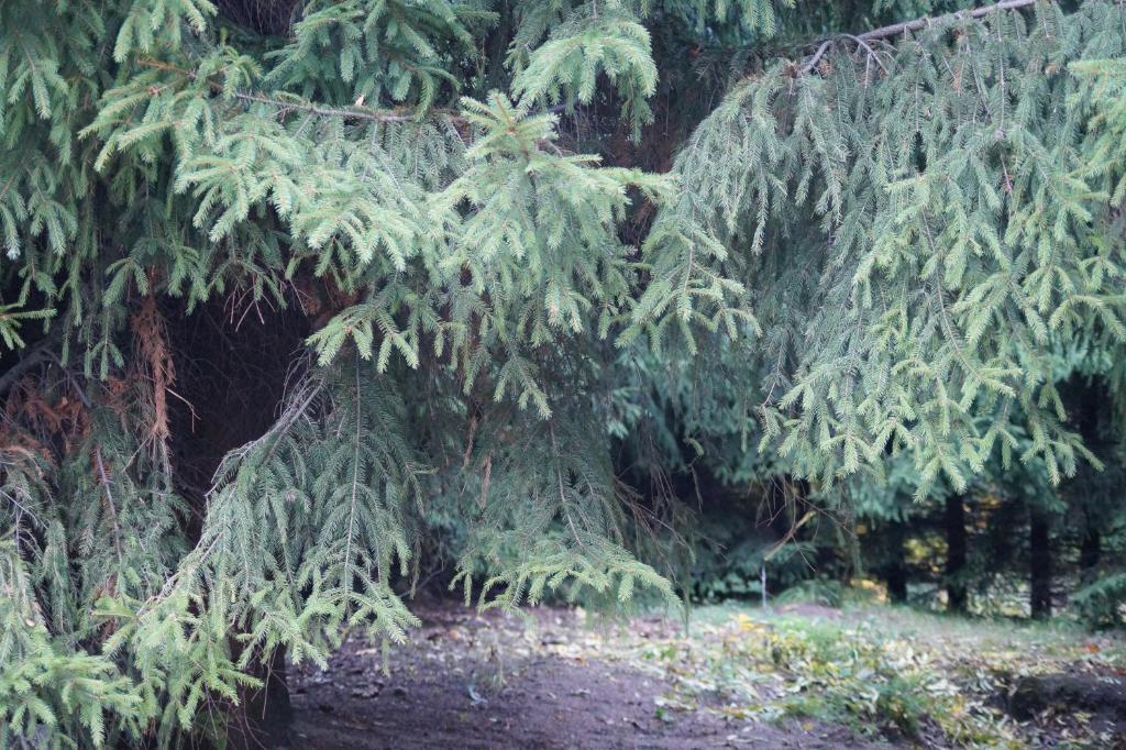 Mlynarzowy Dworek Gdyně Exteriér fotografie